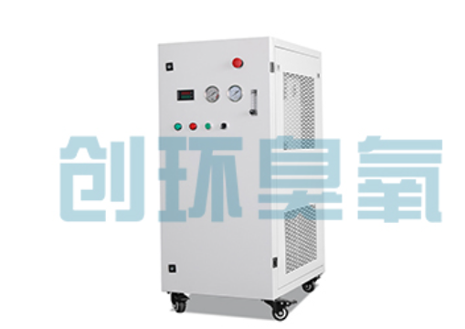 丛台石斑鱼养殖水质调控完整指南：臭氧发生器配置与操作步骤