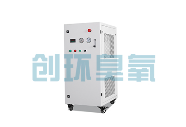 丛台2026年石斑鱼养殖新趋势：为什么高密度循环水必须配备臭氧发生器？